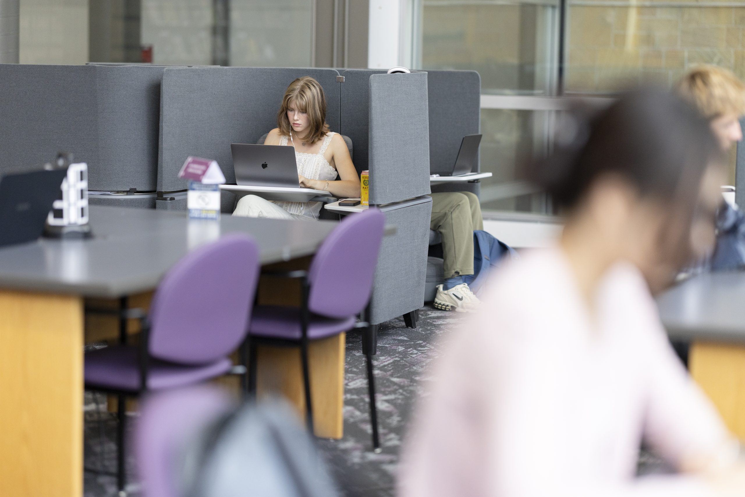 Student studying in the Law Library